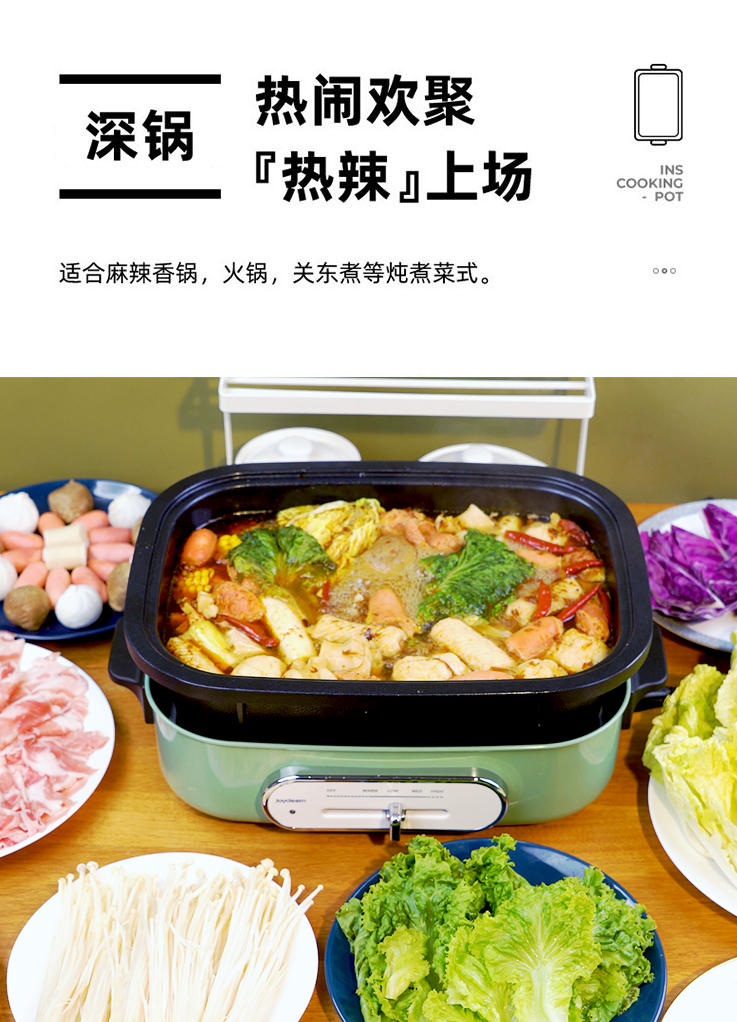 joydeem multi cooker